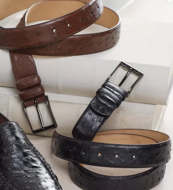 mezlan_rollini_genuine_ostrich_belt_2.webp Mezlan Rollini Genuine Ostrich Belt- Belts